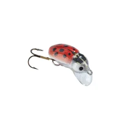 Balzer MK Adventure Krabbelgruppe