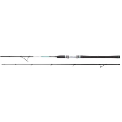 Balzer Norwegenrute 71 North Baltic Sea 2,10 m WFG: 35 – 130 g