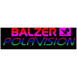 Balzer Polavision Outlaw Brille Top Gun