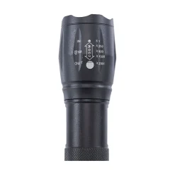 Balzer UV-Weisslicht-Taschenlampe wiederaufladbar