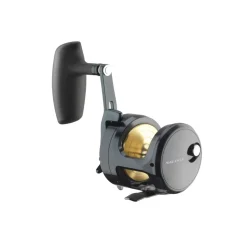 Daiwa 24 Saltiga (G) 15L Multirolle Slow Jigging Angelrolle