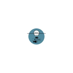 Deeper Smart Sonar PRO+ 2 WIFI + GPS