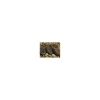 Korda COG Flat Lead - 2,5 oz