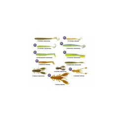 REINS BA-Edition Set 2021